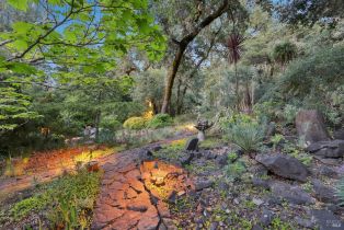 Single Family Residence,  Stepps road, Sebastopol, CA 95472 - 52