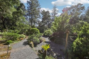 Single Family Residence,  Stepps road, Sebastopol, CA 95472 - 73