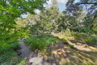 Single Family Residence,  Stepps road, Sebastopol, CA 95472 - 64