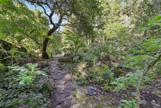 Single Family Residence,  Stepps road, Sebastopol, CA 95472 - 67