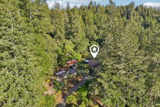 Single Family Residence,  Stepps road, Sebastopol, CA 95472 - 82
