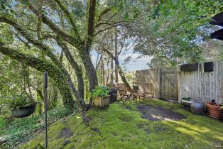 Single Family Residence,  Stepps road, Sebastopol, CA 95472 - 42