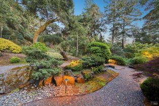 Single Family Residence,  Stepps road, Sebastopol, CA 95472 - 47