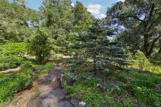 Single Family Residence,  Stepps road, Sebastopol, CA 95472 - 63