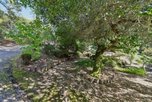 Single Family Residence,  Stepps road, Sebastopol, CA 95472 - 75