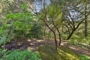 Single Family Residence,  Stepps road, Sebastopol, CA 95472 - 66