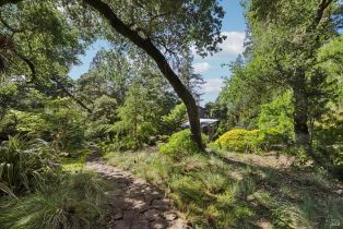 Single Family Residence,  Stepps road, Sebastopol, CA 95472 - 70
