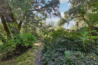 Single Family Residence,  Stepps road, Sebastopol, CA 95472 - 68