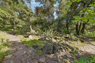 Single Family Residence,  Stepps road, Sebastopol, CA 95472 - 72