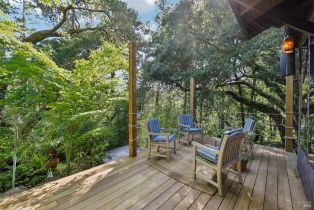 Single Family Residence,  Stepps road, Sebastopol, CA 95472 - 39