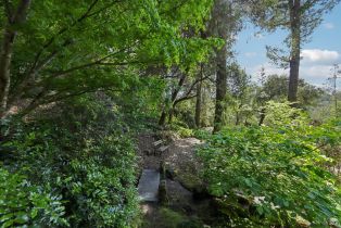 Single Family Residence,  Stepps road, Sebastopol, CA 95472 - 74