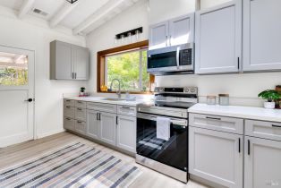 Single Family Residence,  Drake road, Russian River, CA 95446 - 11