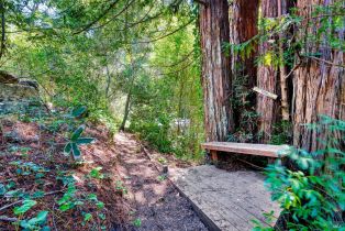 Single Family Residence,  Drake road, Russian River, CA 95446 - 44