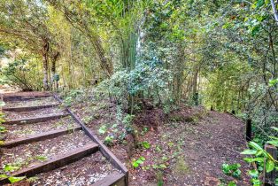 Single Family Residence,  Drake road, Russian River, CA 95446 - 45
