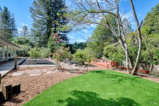 Single Family Residence,  Drake road, Russian River, CA 95446 - 8
