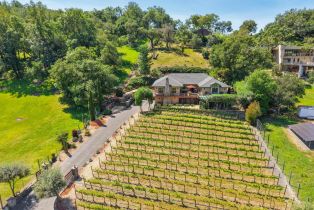 Single Family Residence,  Lovall Valley road, Sonoma, CA 95476 - 48