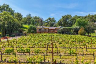 Single Family Residence,  Lovall Valley road, Sonoma, CA 95476 - 52