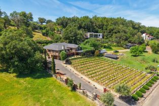Single Family Residence,  Lovall Valley road, Sonoma, CA 95476 - 49