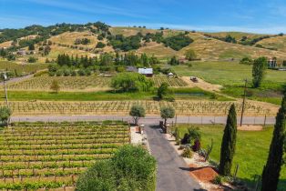 Single Family Residence,  Lovall Valley road, Sonoma, CA 95476 - 2
