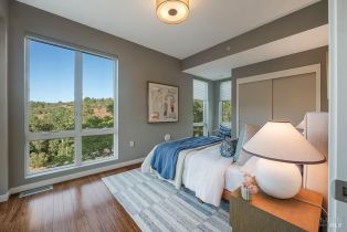 Single Family Residence,  Long Acres place, Healdsburg, CA 95448 - 17