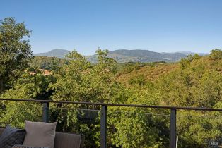 Single Family Residence,  Long Acres place, Healdsburg, CA 95448 - 11