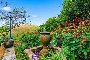 Single Family Residence,  Stanford court, Napa, CA 94558 - 59