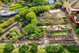 Single Family Residence,  Stanford court, Napa, CA 94558 - 66