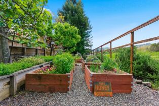 Single Family Residence,  Stanford court, Napa, CA 94558 - 61
