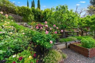 Single Family Residence,  Stanford court, Napa, CA 94558 - 60