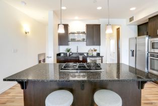 Condominium,  1st street, Petaluma, CA 94952 - 9