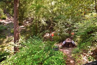 Single Family Residence, Merry lane, Russian River, CA 95446 - 28
