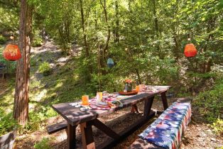 Single Family Residence, Merry lane, Russian River, CA 95446 - 35