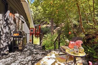 Single Family Residence, Merry lane, Russian River, CA 95446 - 27