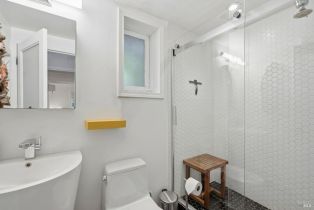 Single Family Residence,  Merry lane, Russian River, CA 95446 - 18