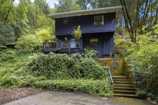 Single Family Residence,  Merry lane, Russian River, CA 95446 - 3