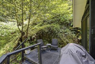 Single Family Residence,  Merry lane, Russian River, CA 95446 - 19