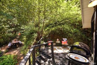 Single Family Residence, Merry lane, Russian River, CA 95446 - 31