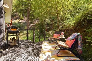 Single Family Residence, Merry lane, Russian River, CA 95446 - 33