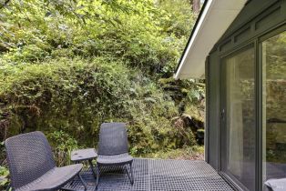 Single Family Residence,  Merry lane, Russian River, CA 95446 - 21
