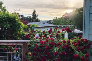 Single Family Residence,  Thomson avenue, Sonoma, CA 95476 - 39