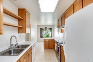 Single Family Residence,  Via Colombard none, Sonoma, CA 95476 - 10