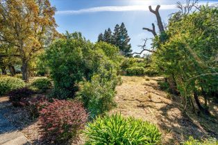 Single Family Residence,  Via Colombard none, Sonoma, CA 95476 - 41