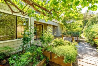 Single Family Residence,  Via Colombard none, Sonoma, CA 95476 - 44