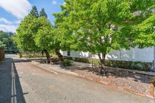 Single Family Residence,  State Highway 128 none, Calistoga, CA 94515 - 44