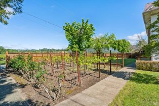 Single Family Residence,  State Highway 128 none, Calistoga, CA 94515 - 7