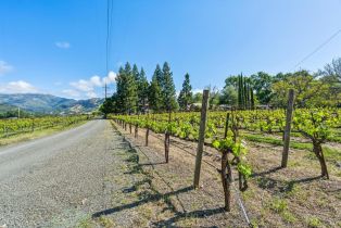 Single Family Residence,  State Highway 128 none, Calistoga, CA 94515 - 6