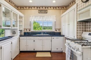 Single Family Residence,  State Highway 128 none, Calistoga, CA 94515 - 24