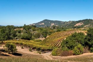Single Family Residence, Matanzas Creek lane, Santa Rosa, CA 95404 - 55