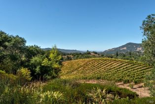 Single Family Residence, Matanzas Creek lane, Santa Rosa, CA 95404 - 47