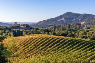 Single Family Residence, Matanzas Creek lane, Santa Rosa, CA 95404 - 9